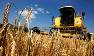 Landwirtschaftsmaschine in gelb