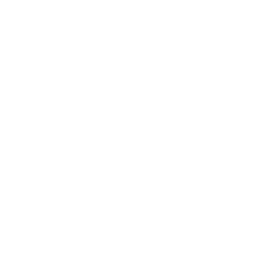MR Logo in weiß